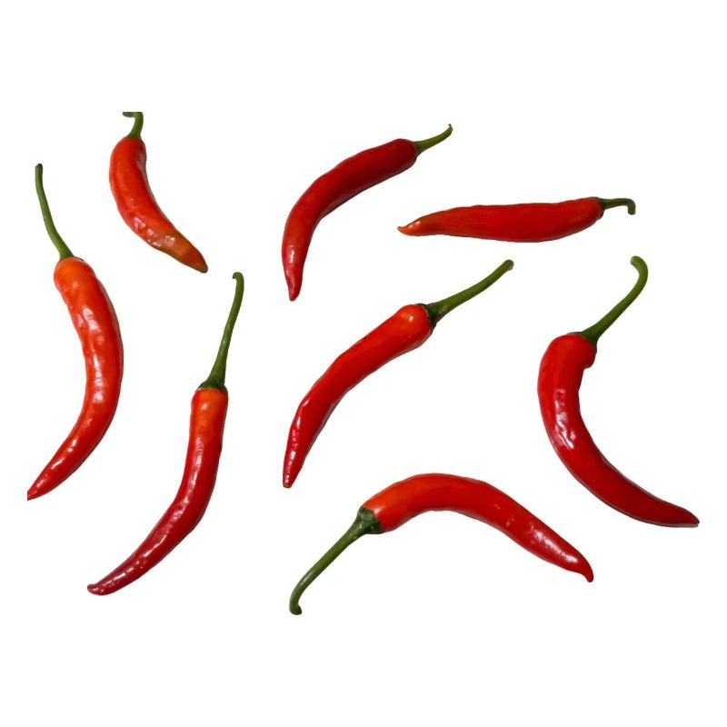 Fresh red chilies arranged on a light surface.