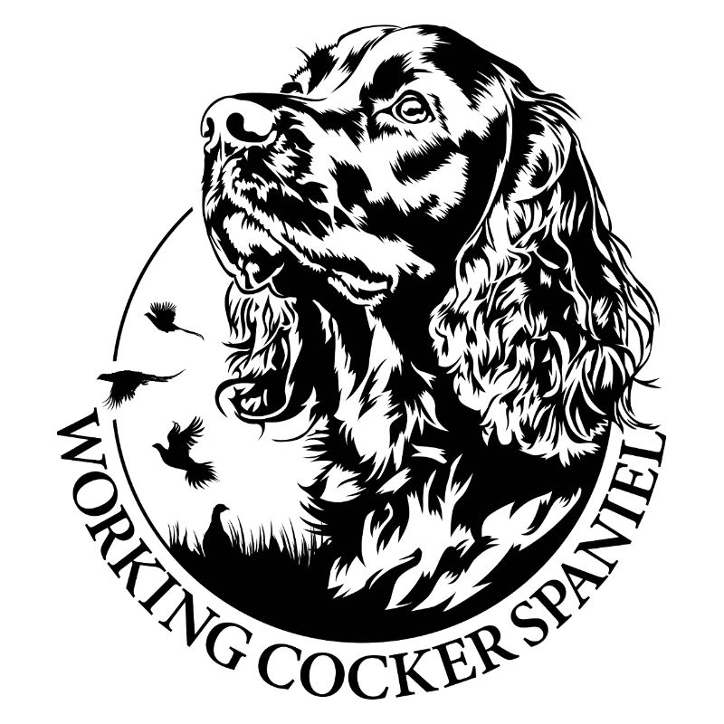 Working Cocker Spaniel Jagdhunde Hunde Wilsigns