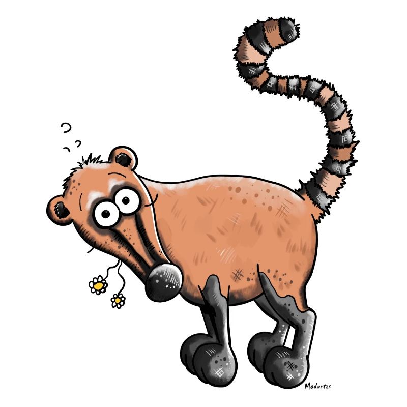 Funny Coati