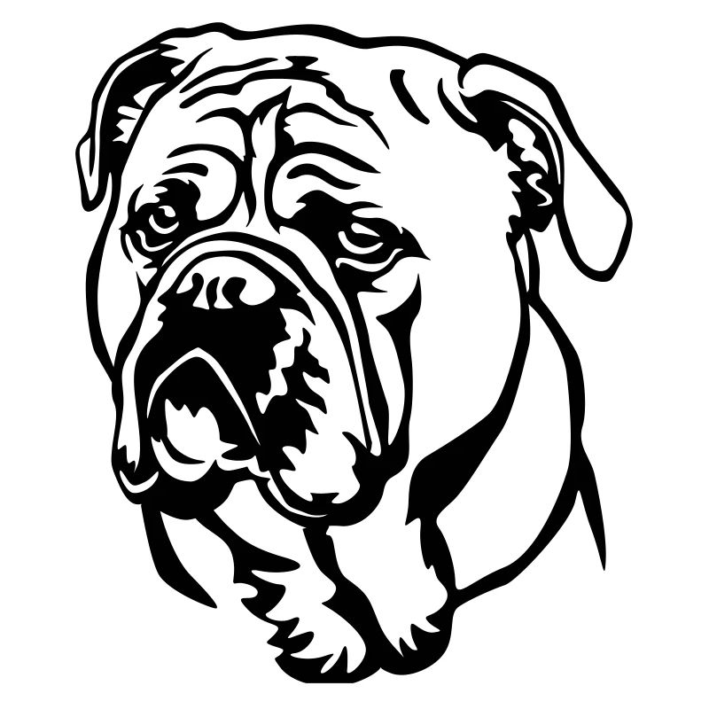 Tête de bouledogue continental