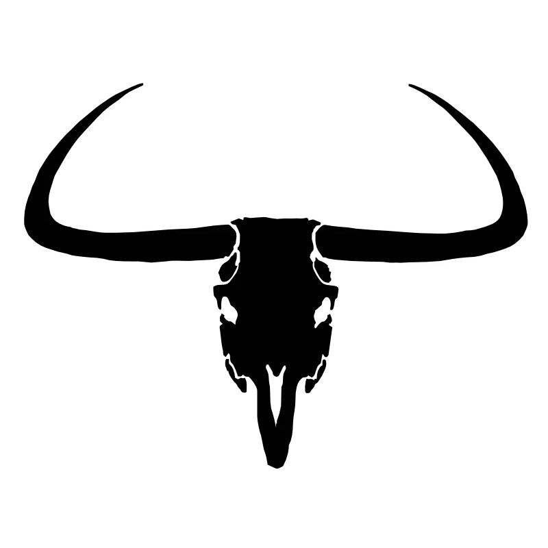 Steer Skull