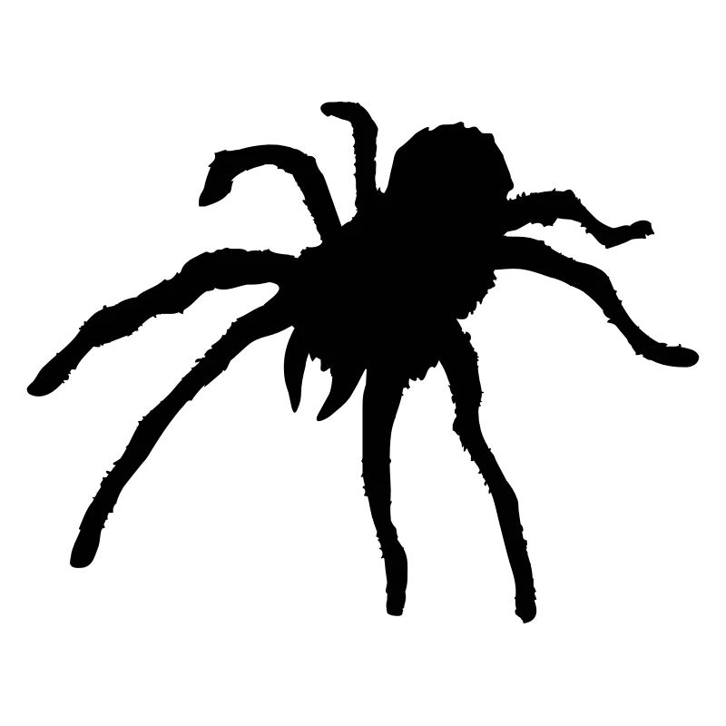 Tarantula Spider