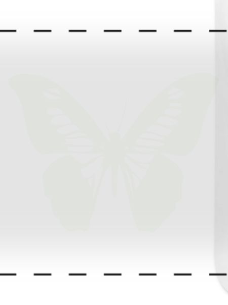 schmetterling