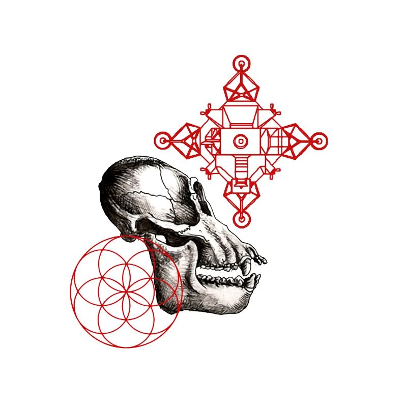 australpithèque lunaire