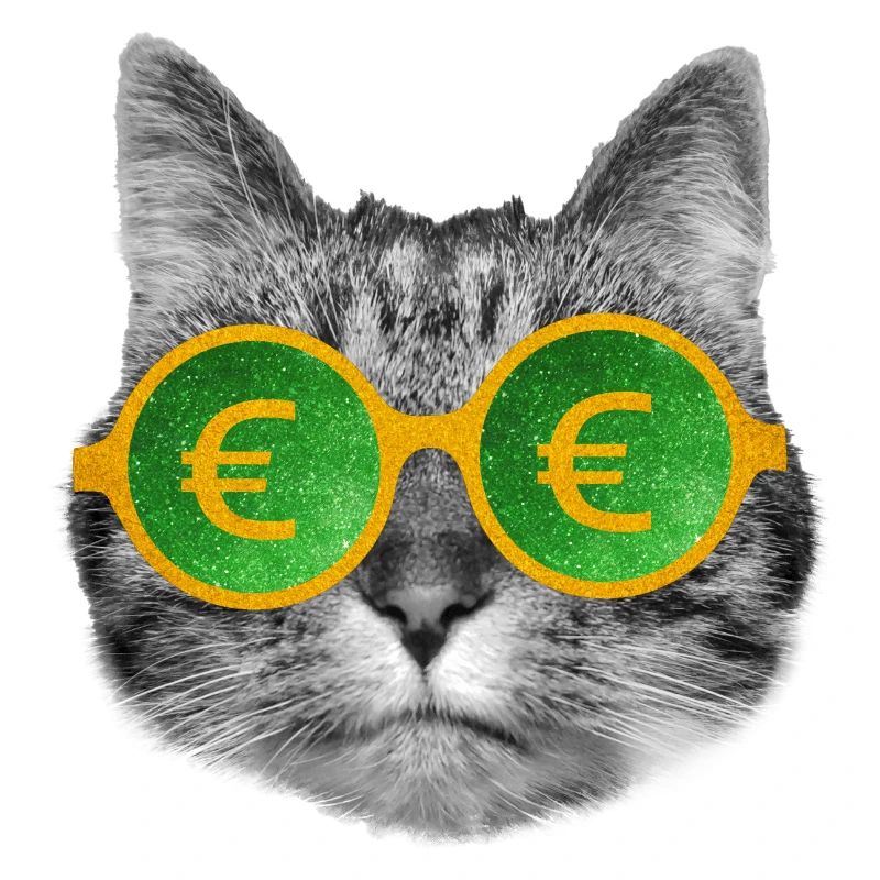 Cat money glasses