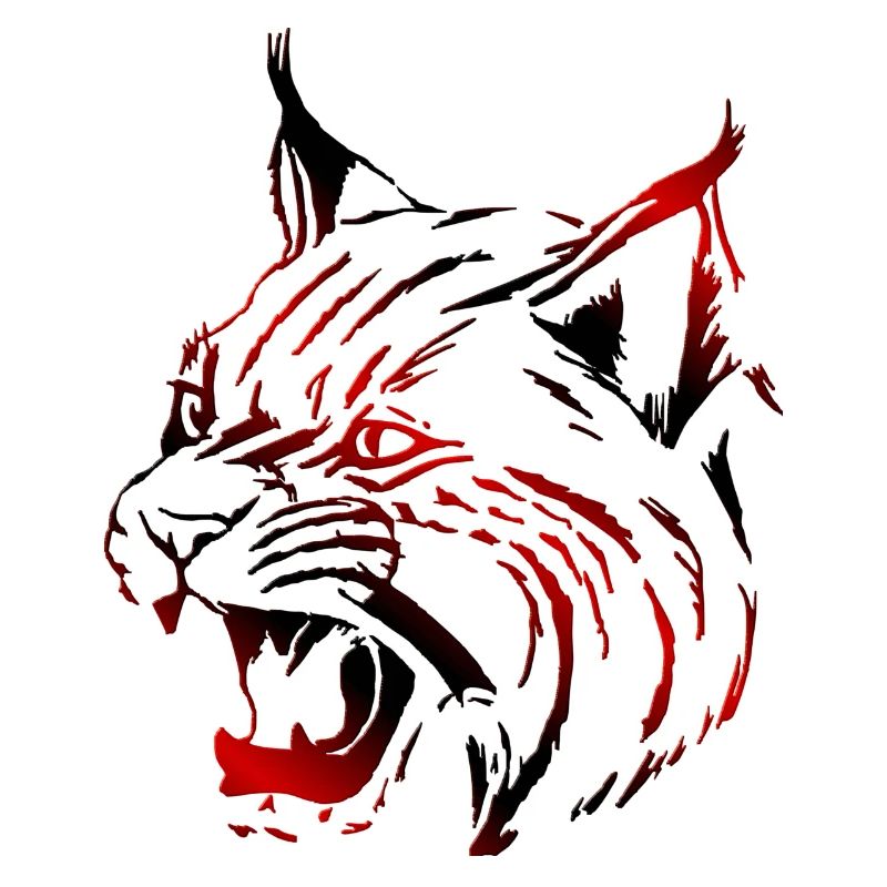 Luchs (03)