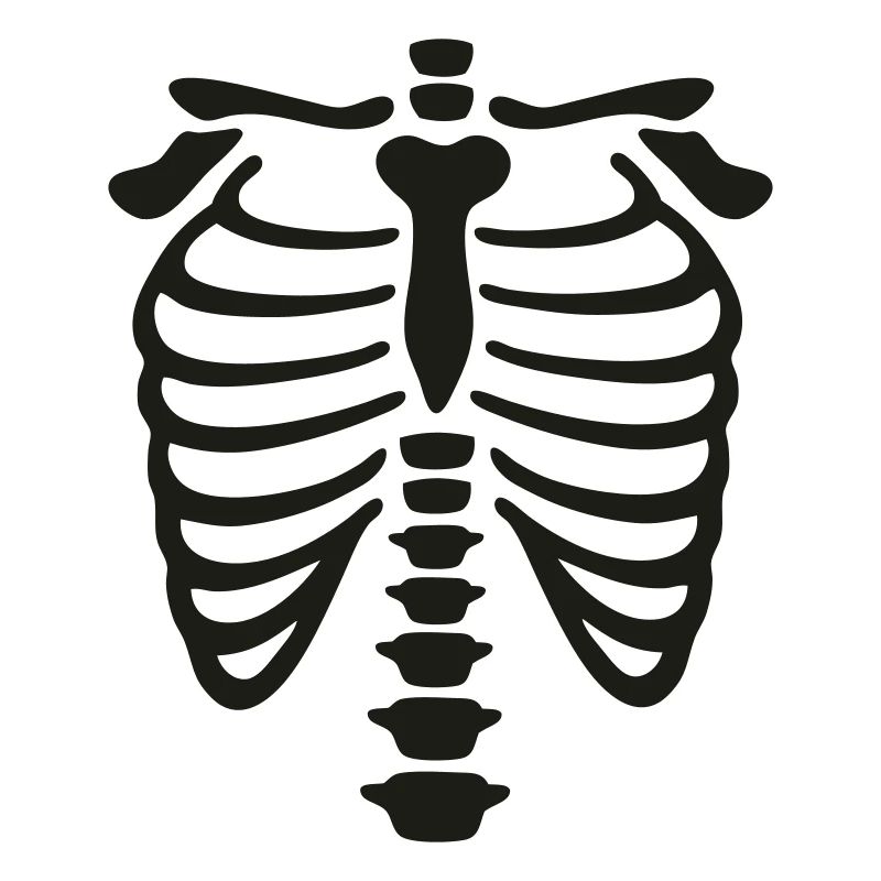 xray_vector