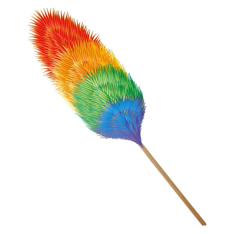 Feather duster in brightly colored rainbow colors