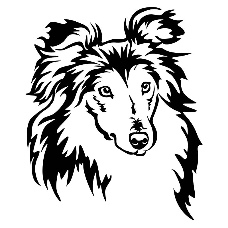 Sheltie Kopf