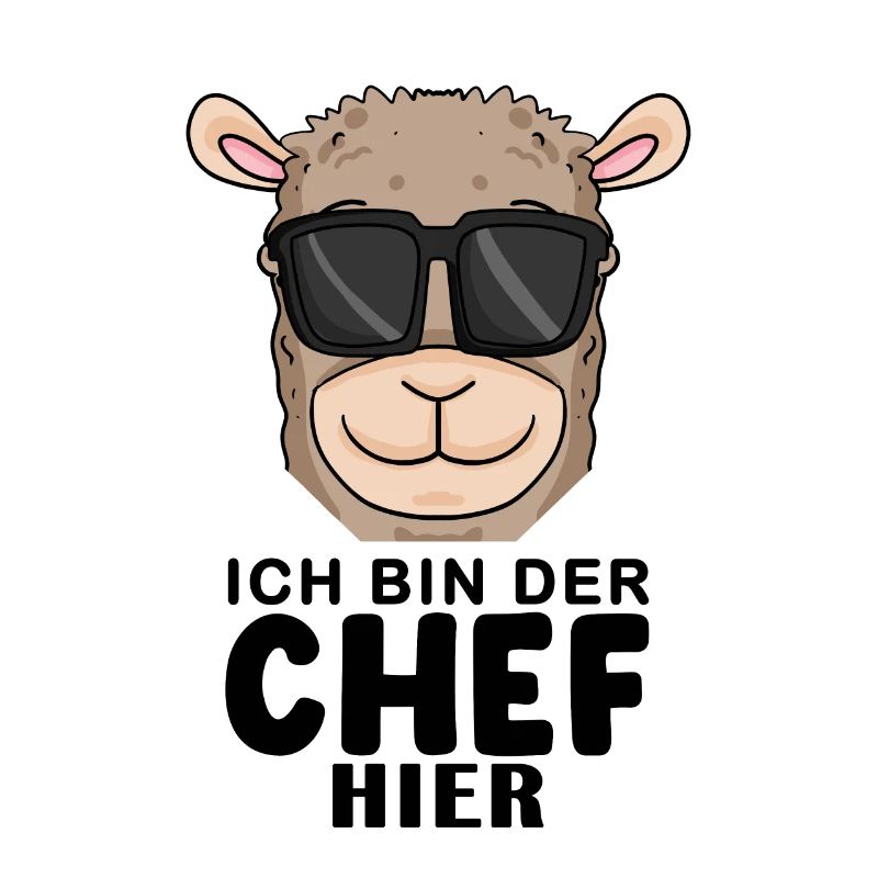 Cool Lama Chef Spruch
