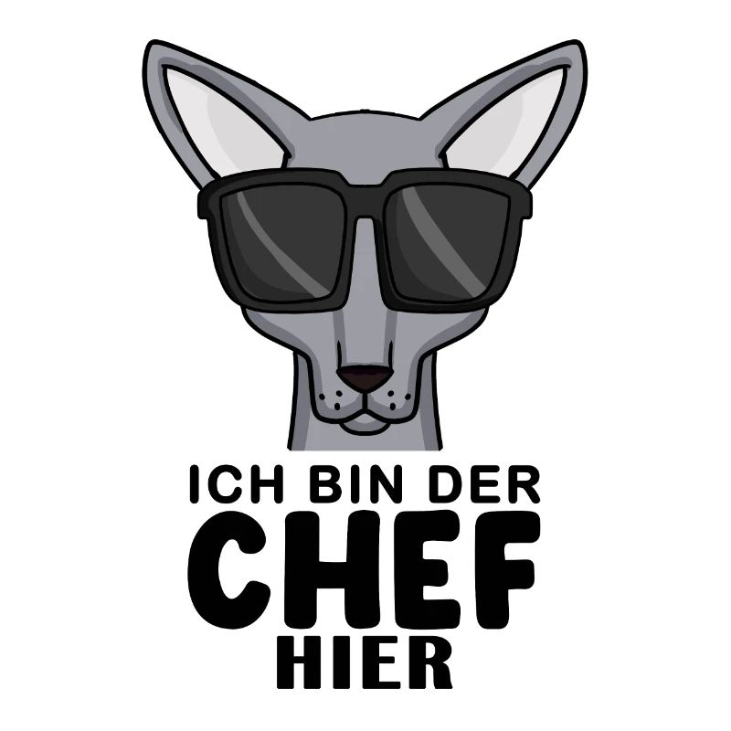 coole Katze - Sphynx Katze Spruch