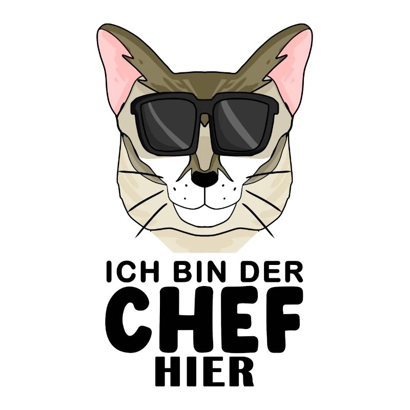 coole Katze - Singapura Katze - Chef Spruch