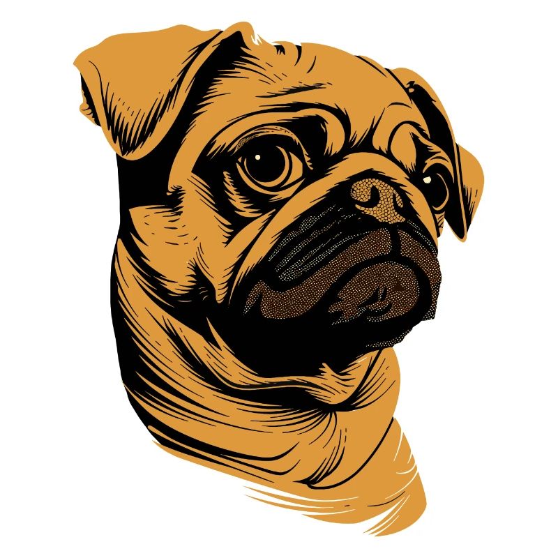 Mops Beige Hunde Liebe Carlin Kleiner Süßer Mops