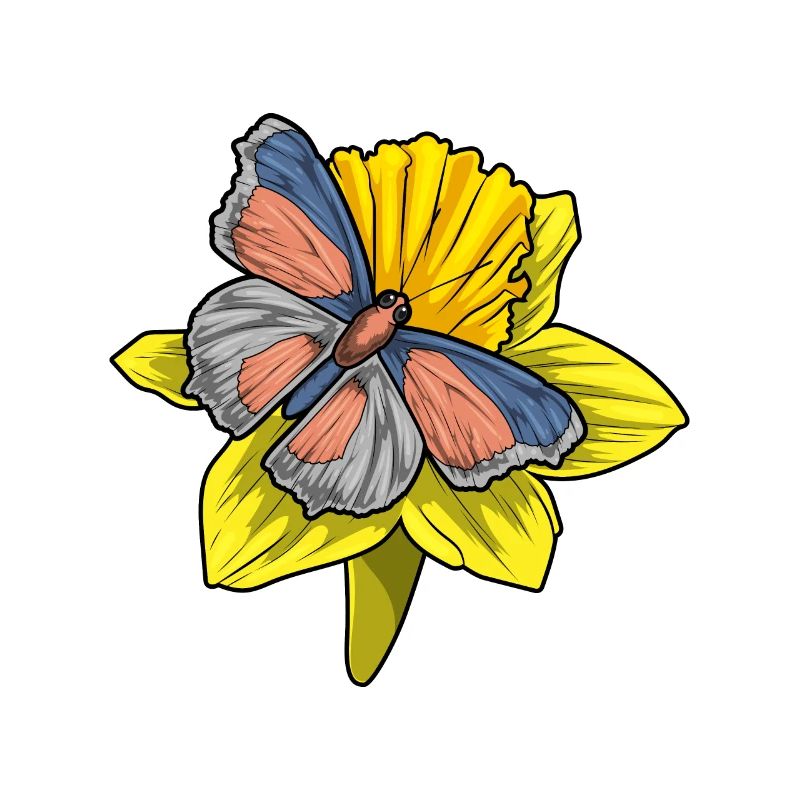 Jonquille papillon
