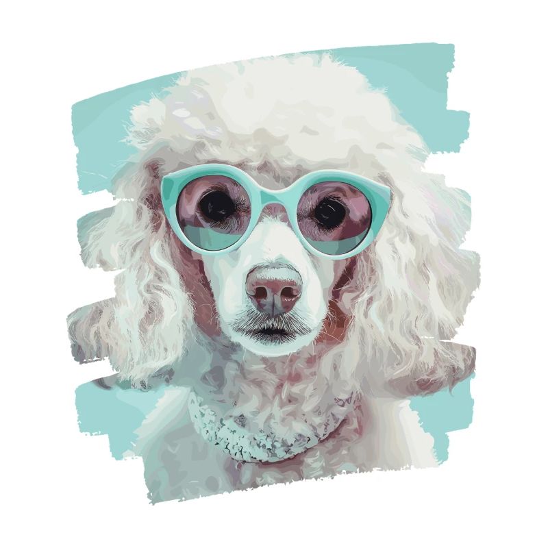 Caniche