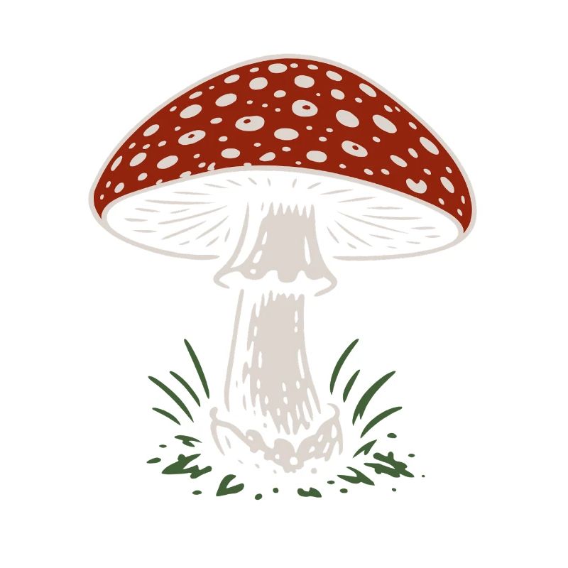 Fly agaric - mushrooms - saying