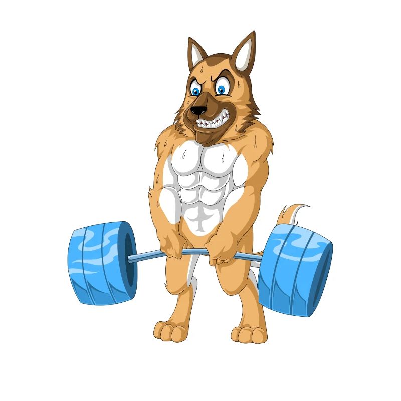 German Shepherd Weightlifting