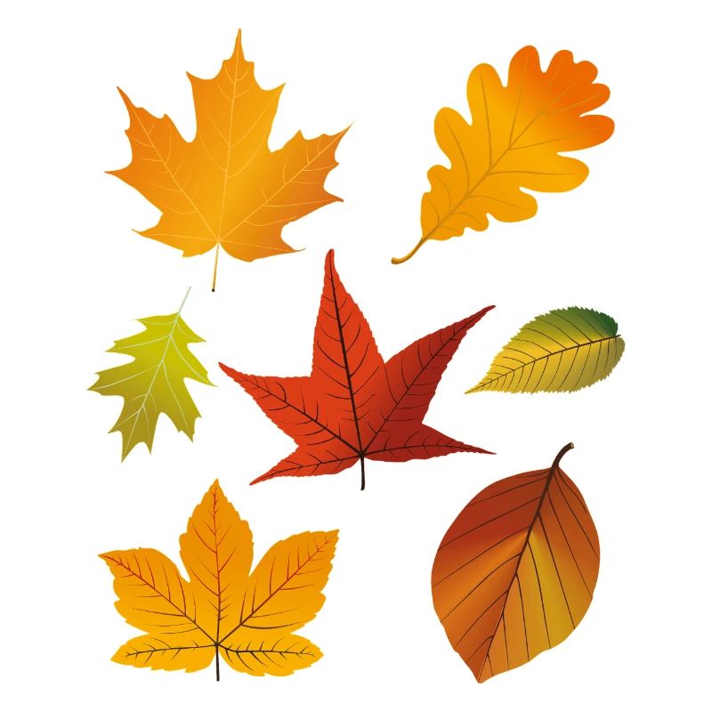 Herbstlaub