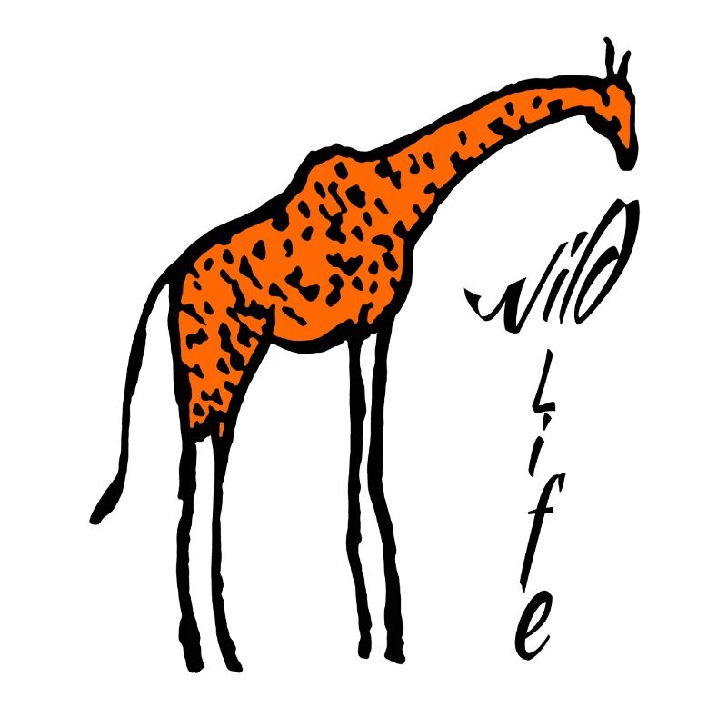 Giraffe wildlife