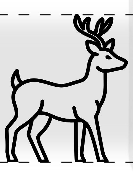 Hirsch