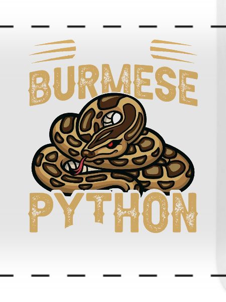 Python-Tamer-Schlangen-Terrarium-Reptilienhüter