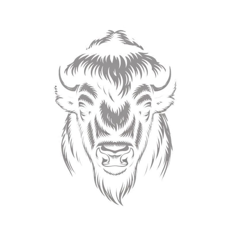 Gray bison head