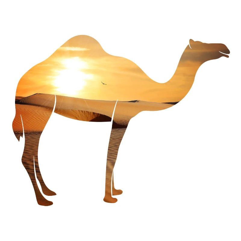 Kamel