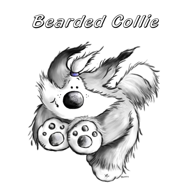 Courir Bearded Collie.