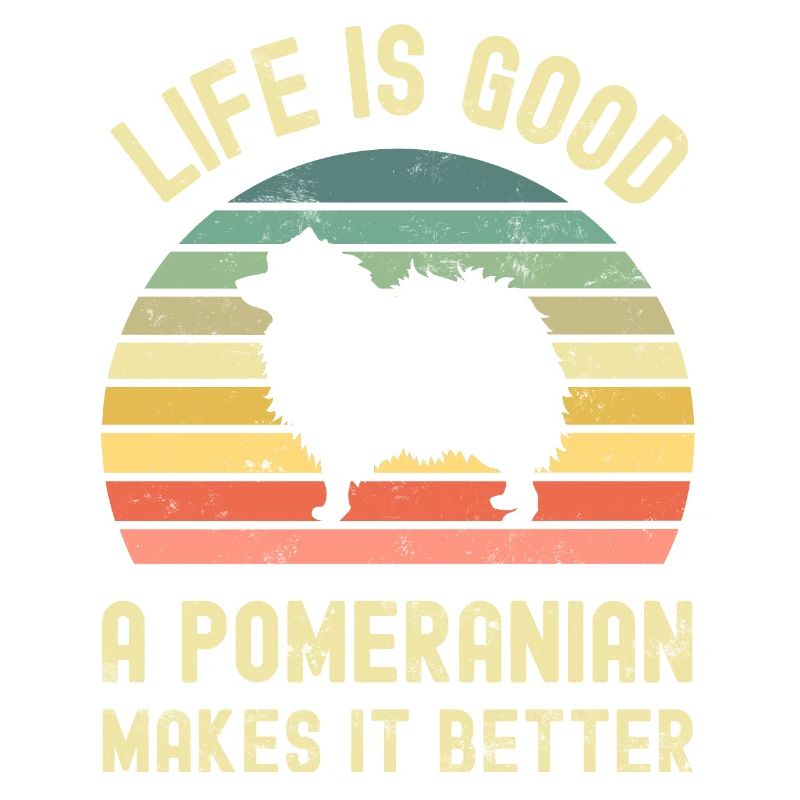 Hund Pomeranian