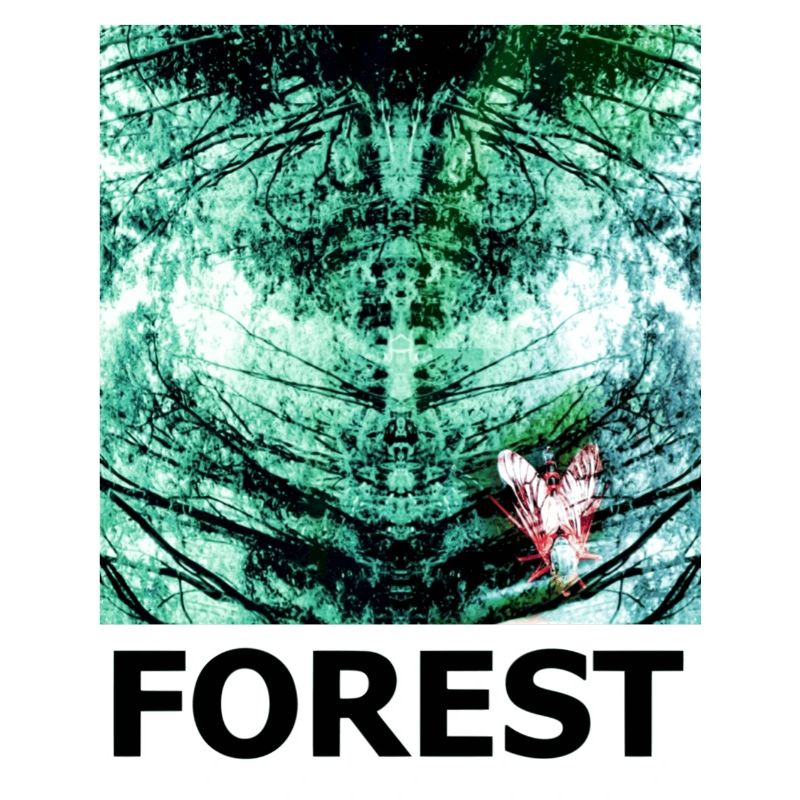 Forest Kaleidoscope FOREST
