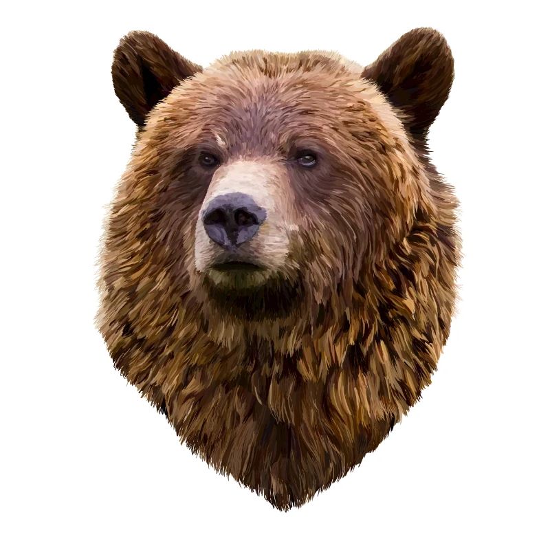 Bär