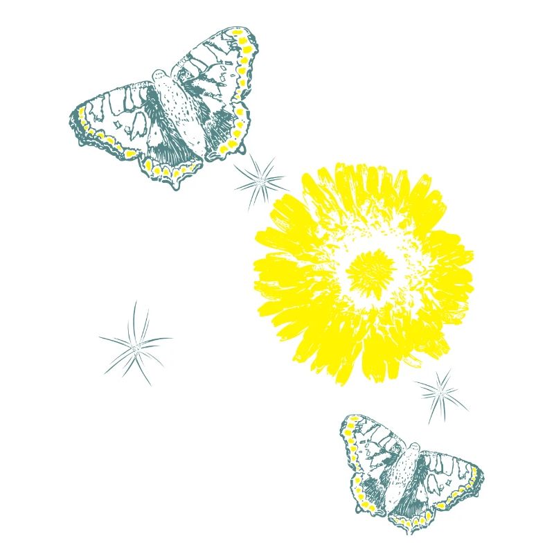 Fleurs Chrysanthèmes Papillons Été