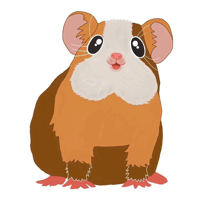 Guinea pig
