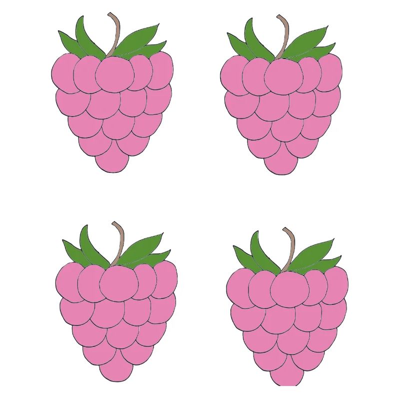 Raspberry Double Cluster Pattern