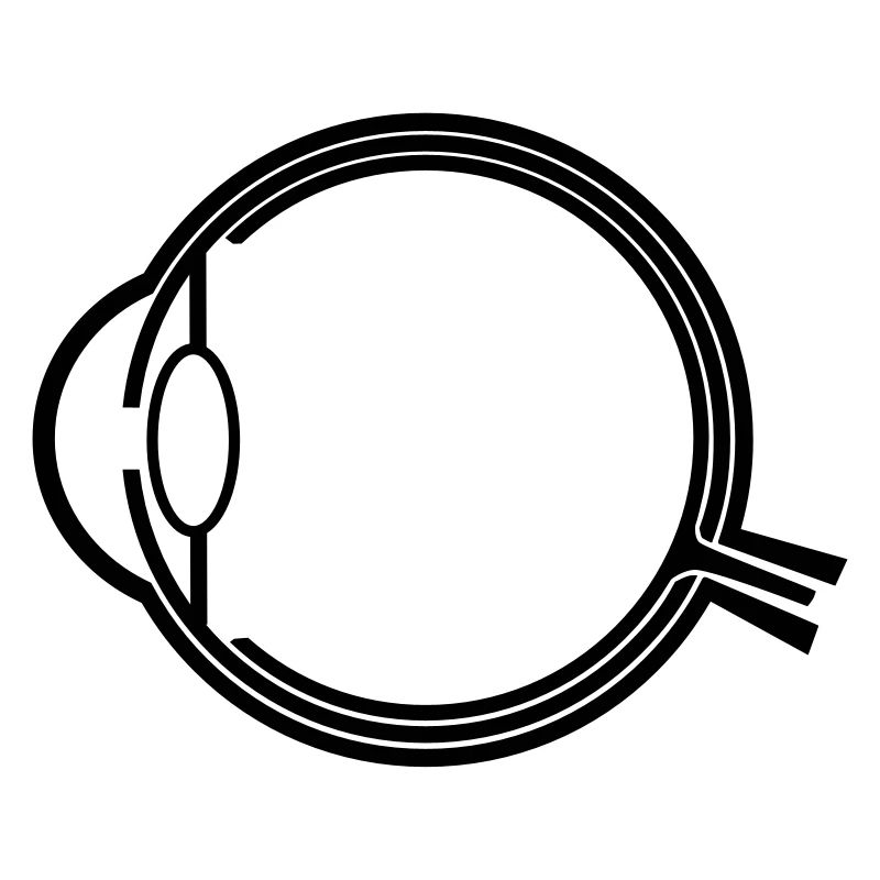 anatomie de l'oeil _g1a