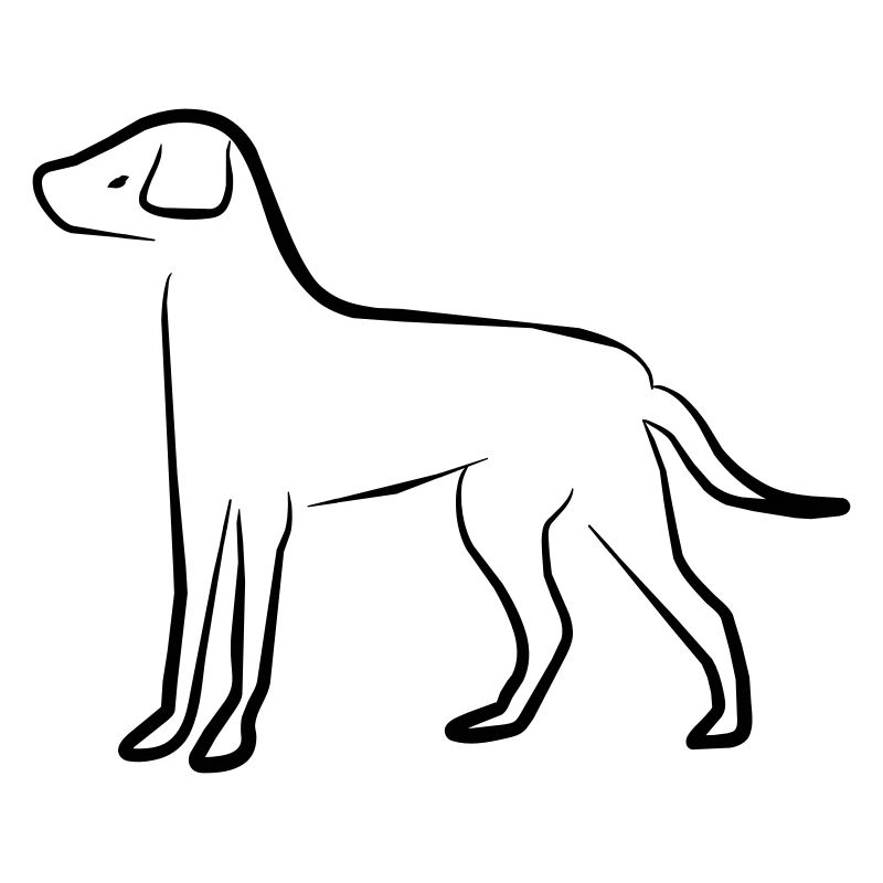 Hund