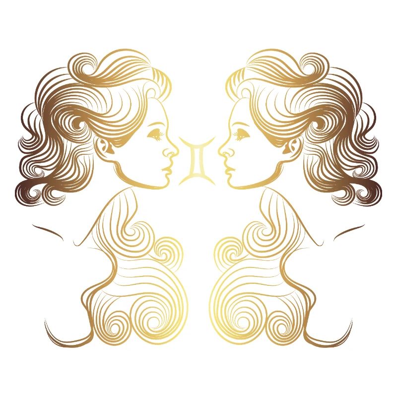 Plan de travail gemini2 1