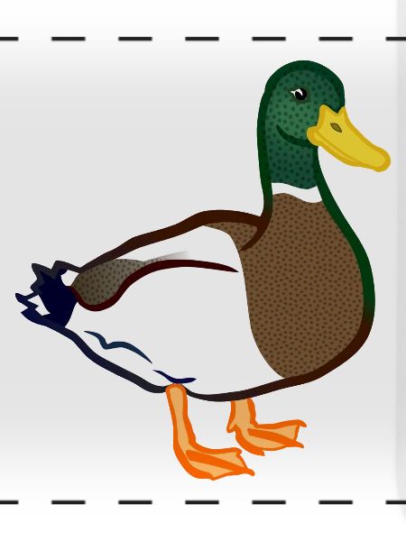 Ente