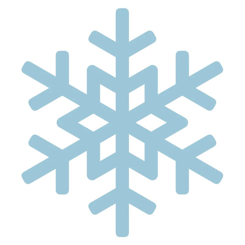flocon de neige 1