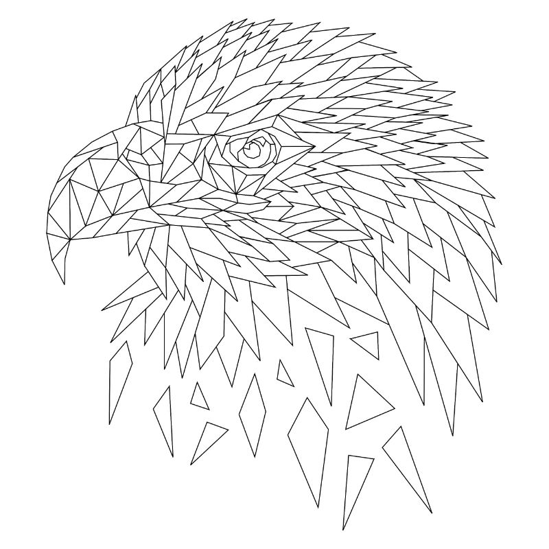 Sea eagle eagle polygons