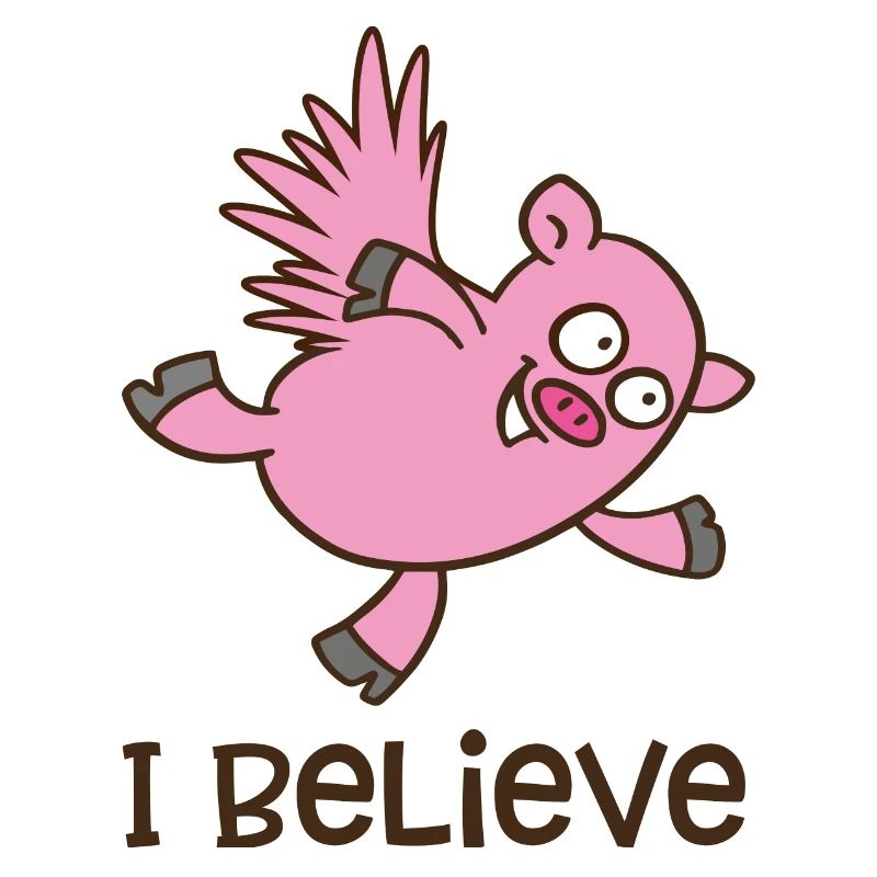 Flying pig