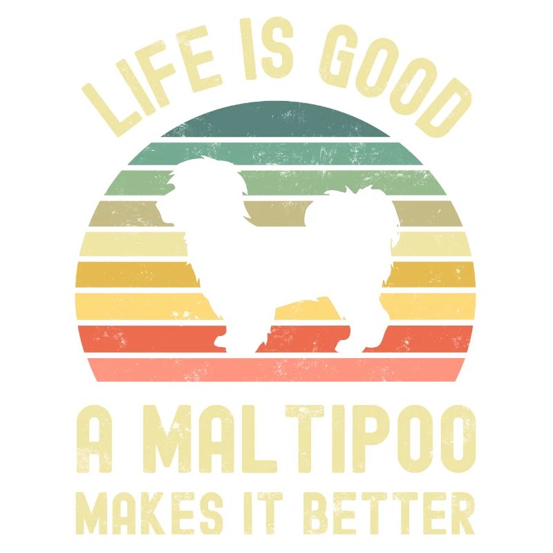 Chien Maltipoo