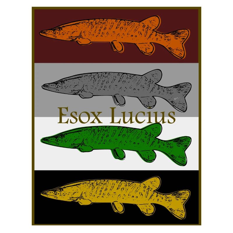 Conception de brochet coloré