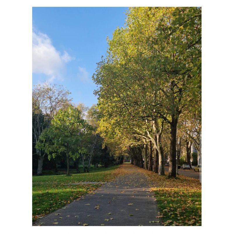 Chemin d’automne à travers Lauballee