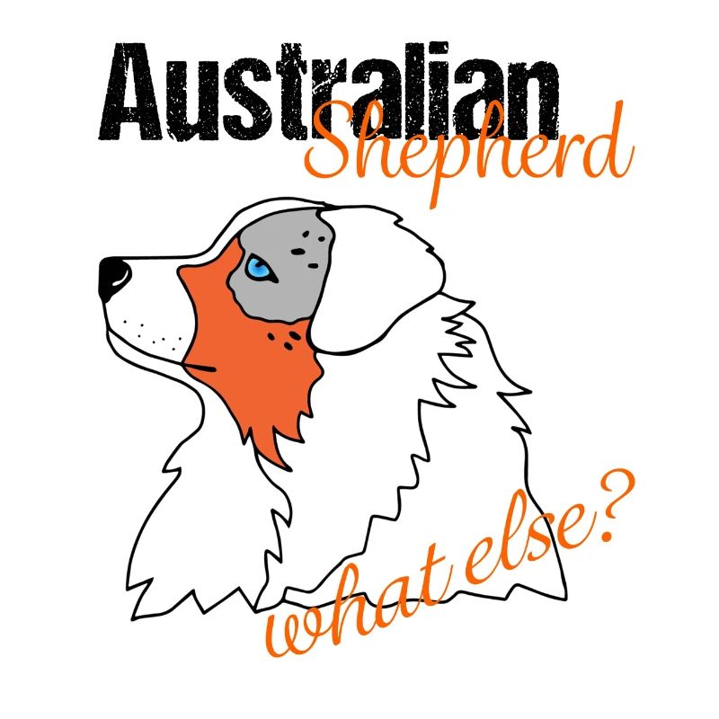 Aussie Shepherd Australian Shepherd What else?
