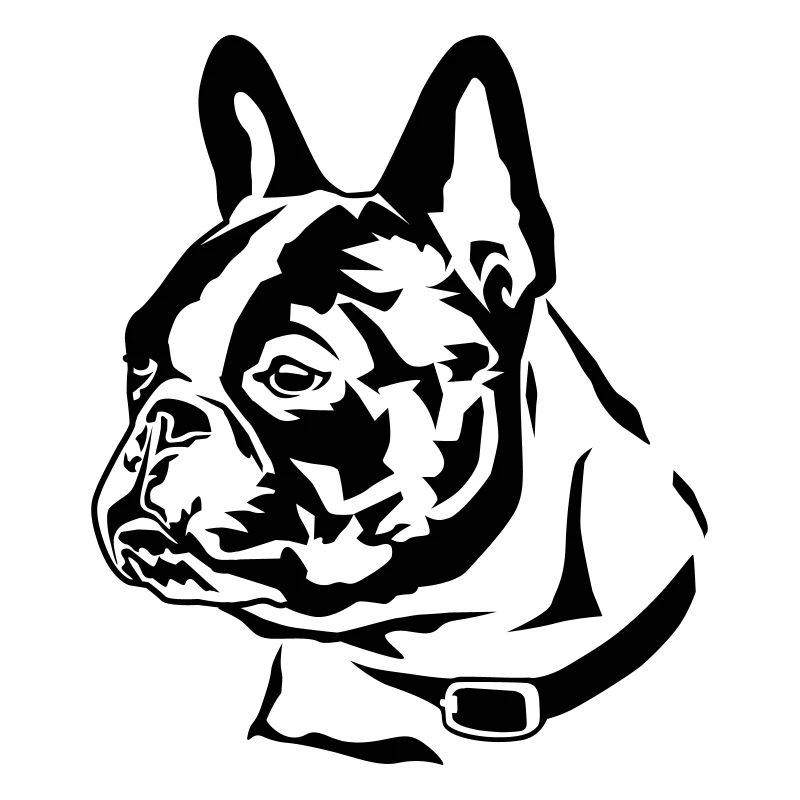 french_bully_head_01