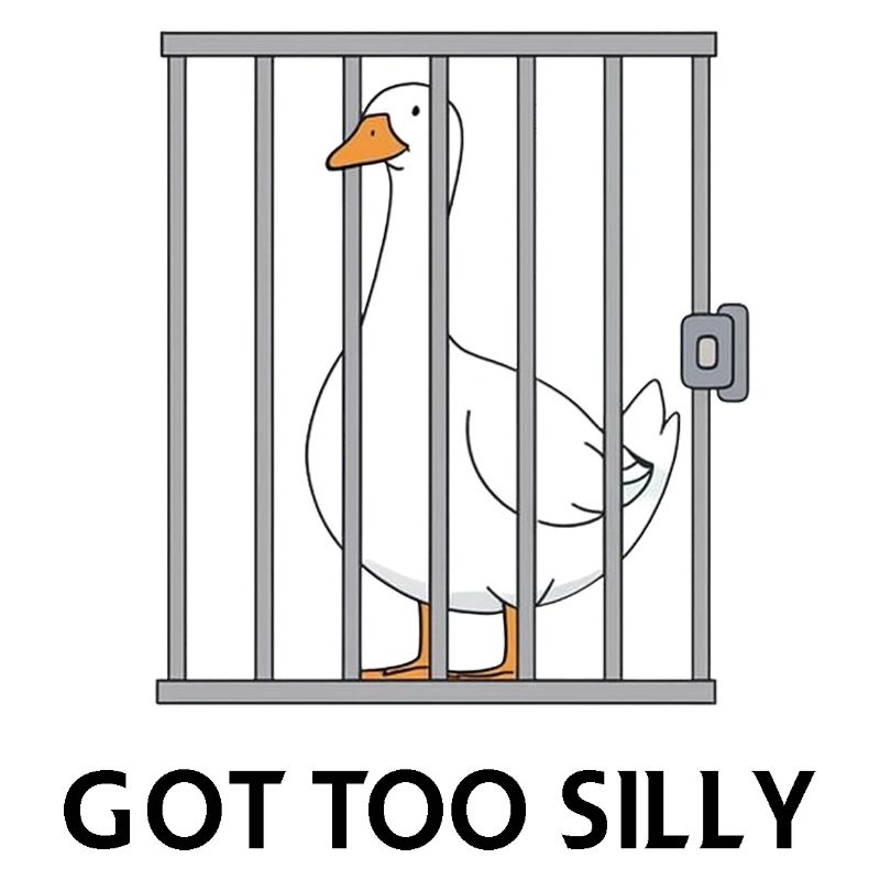 Goose – Got Too Silly