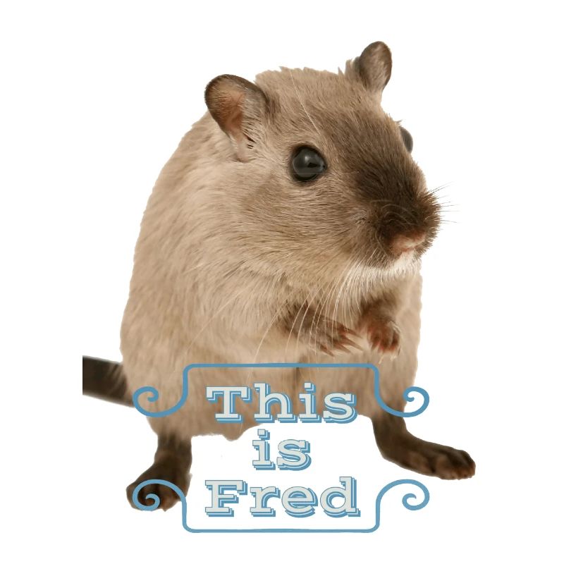 C’est une idée cadeau drôle souris mignonne fred