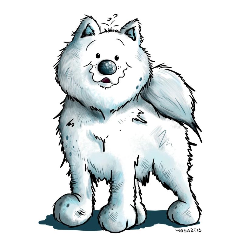 Sweet Samoyed Dog