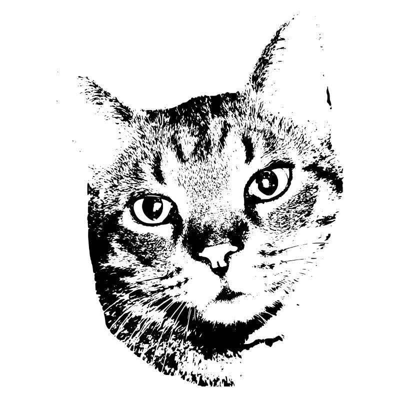 Chat Chat Chat Chat Chemise Cadeau